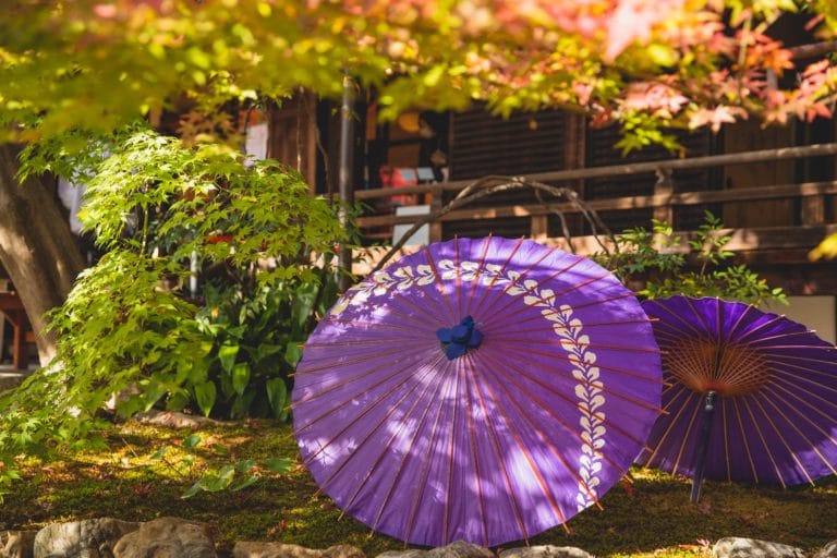 Umbrella