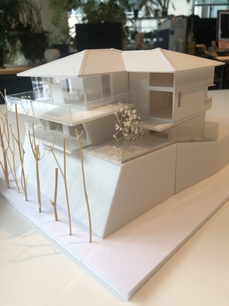 Architect's 3D model
