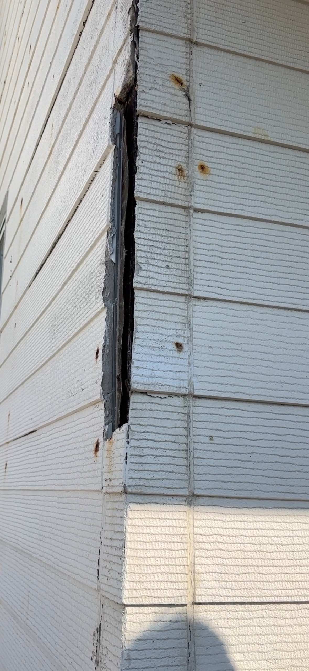 Exterior wall siding panel removed to reveal asbestos-containing material confirmed positive on laboratory testing during pre-purchase building inspection