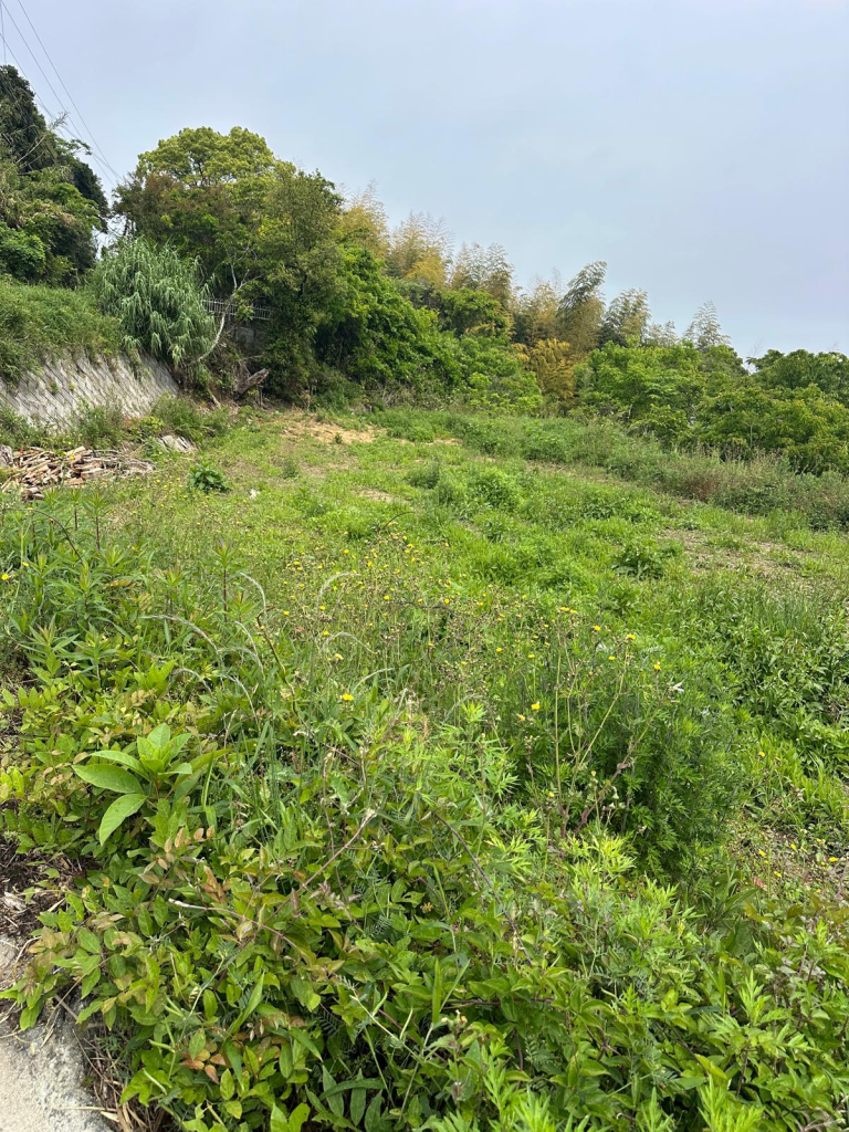 A rough parcel of land in Awaji Island, Japan.