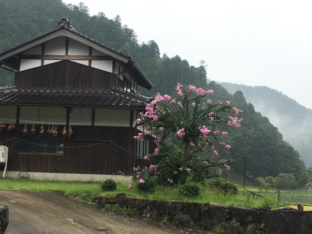 Rural kominka mountainside misty Japan